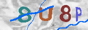 Immagine CAPTCHA