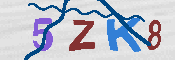Immagine CAPTCHA