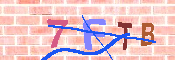 Immagine CAPTCHA