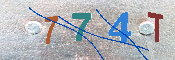 Immagine CAPTCHA