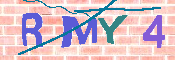 Immagine CAPTCHA