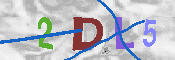 Immagine CAPTCHA