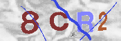 Immagine CAPTCHA