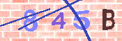 Immagine CAPTCHA