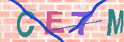 Immagine CAPTCHA