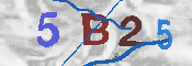 Immagine CAPTCHA