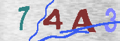 Immagine CAPTCHA