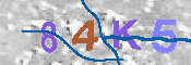 Immagine CAPTCHA